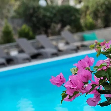 Stefania Hotel 3*